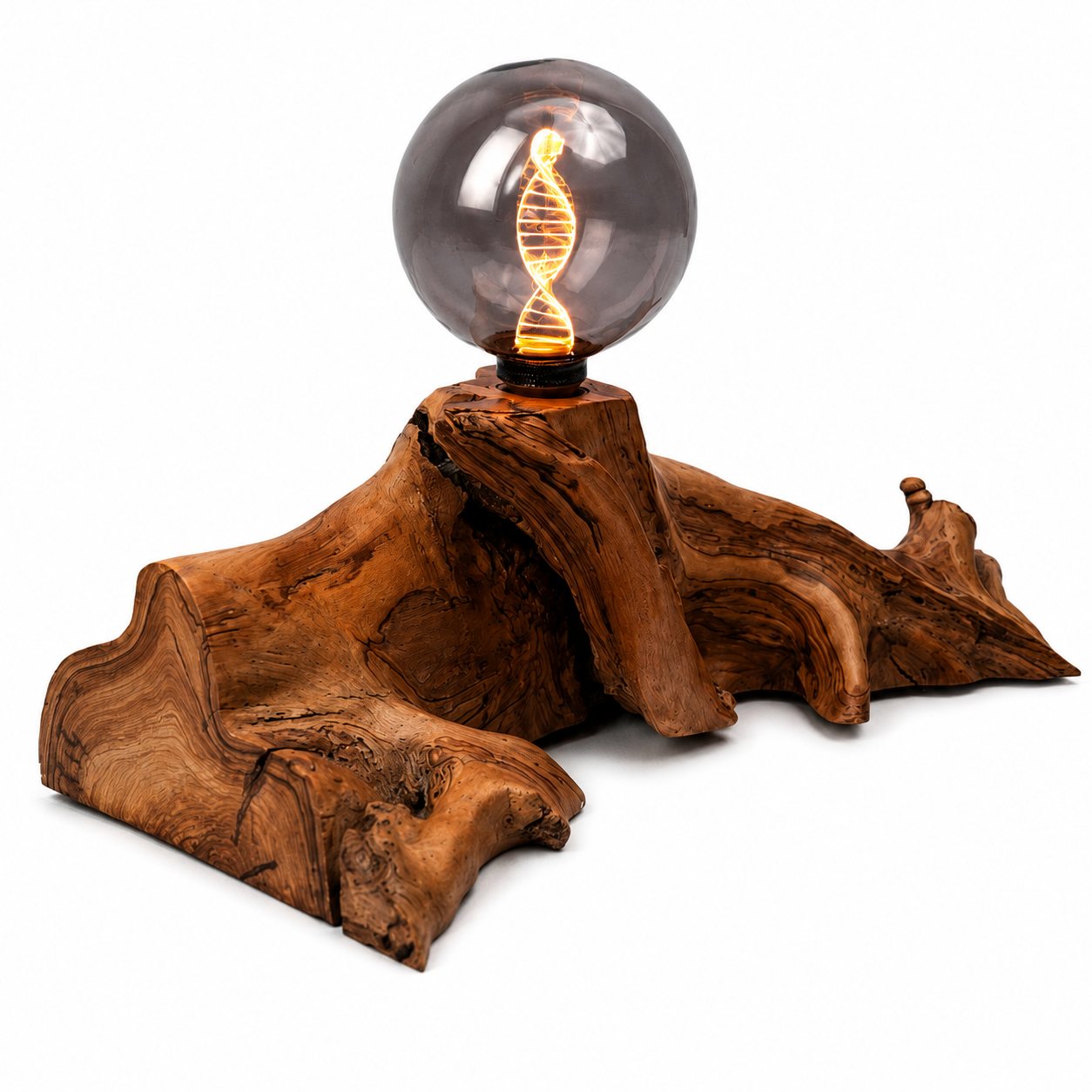 Bespoke Wild Olive Wood Lamp – DNA Double Helix Smoked Bulb