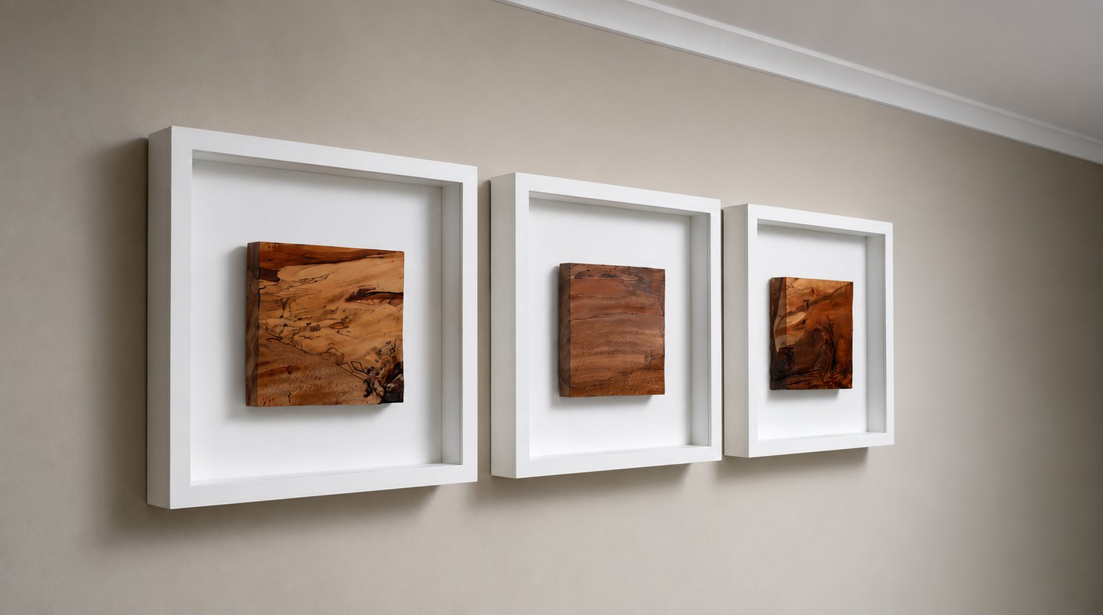 MEXICAN PEPPERCORN TRIPTYCH Wall Art Set