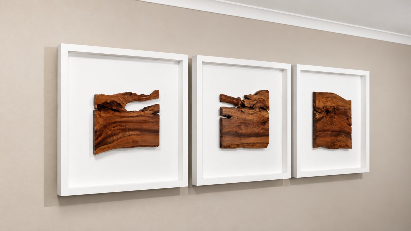 WILD OLIVE UNIQUE TRIPTYCH Wall Art Set I